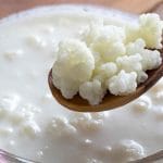 Como fazer Kefir em casa
