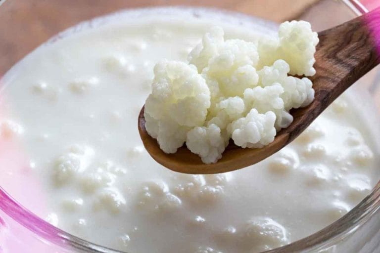 Como fazer Kefir em casa