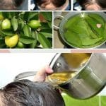 Folhas de goiabeira faz o cabelo parar de cair em até 100% e dá volume