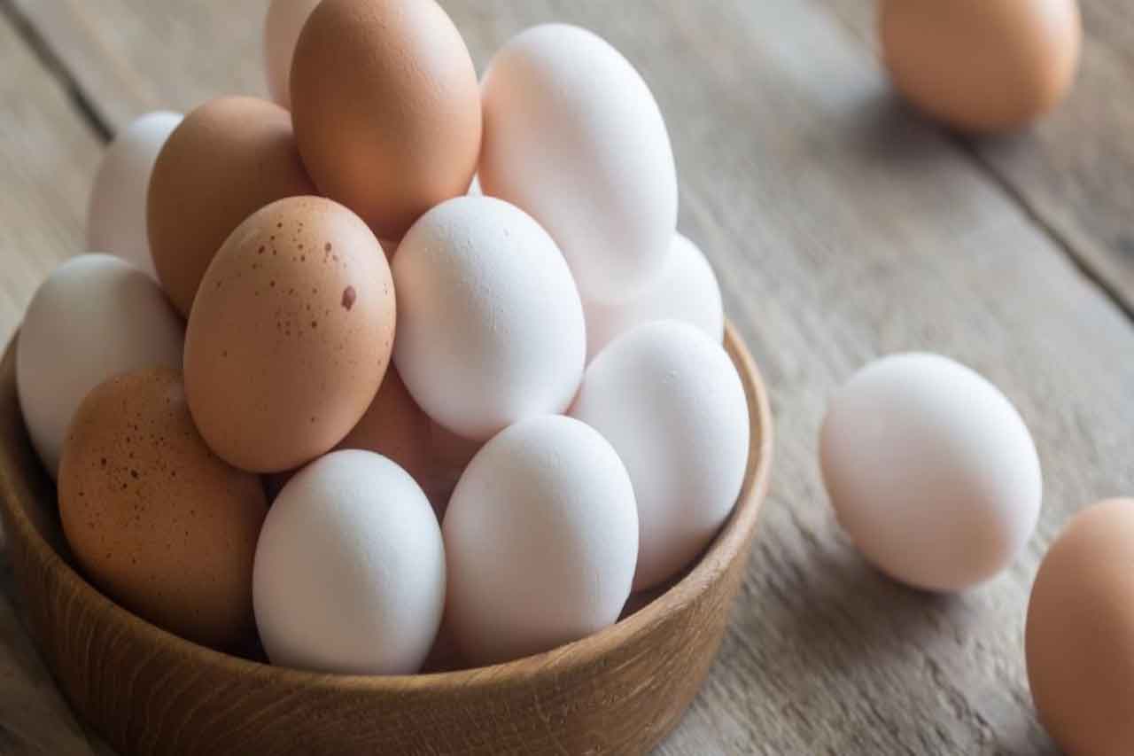 Ovo Comum, Caipira e Orgânico: Entenda as Diferenças