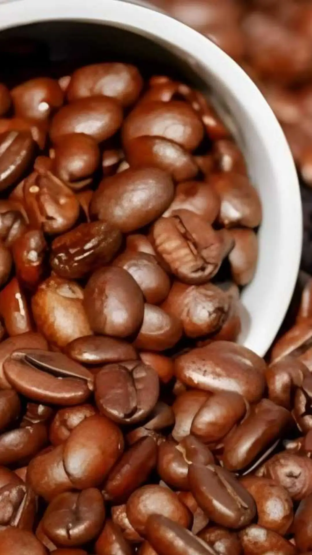 24 de Maio O Dia Nacional do Café no Brasil-ws