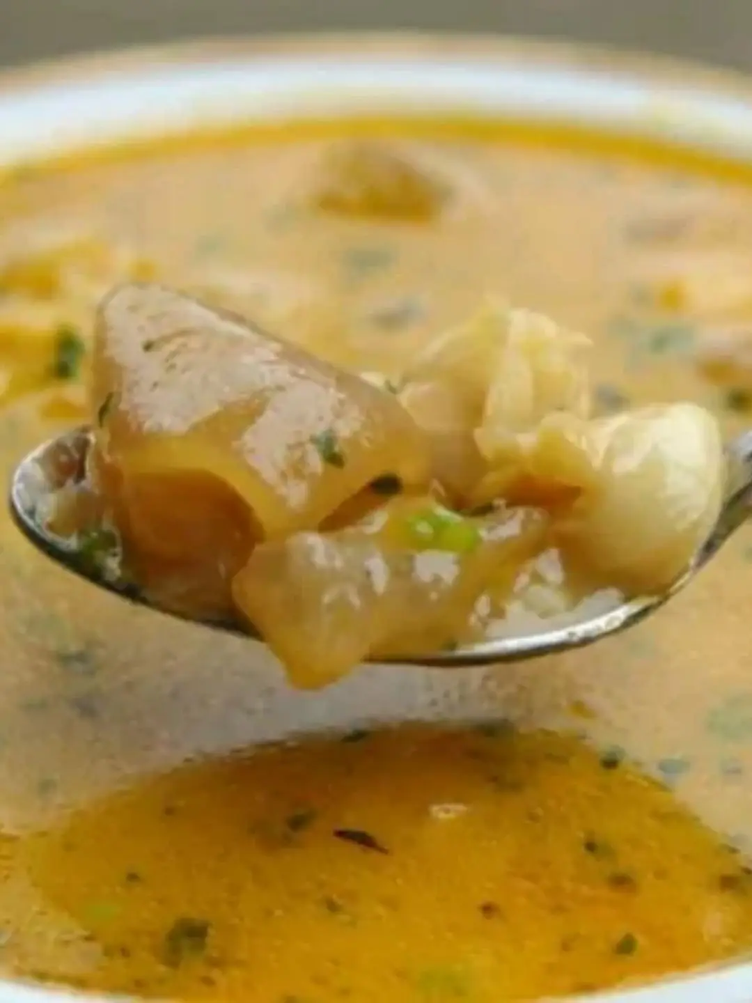 Descubra o Sabor Único do Caldo de Mocotó