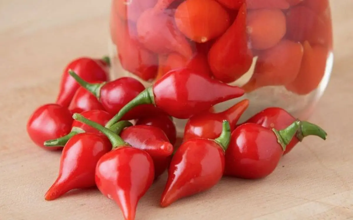 Como Fazer Conserva de Pimenta Biquinho 1 Como Fazer Conserva de Pimenta Biquinho