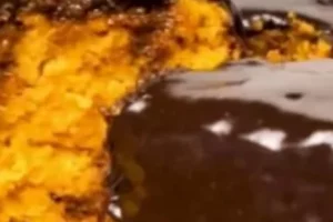 Bolo de Cenoura com Cobertura de Chocolate