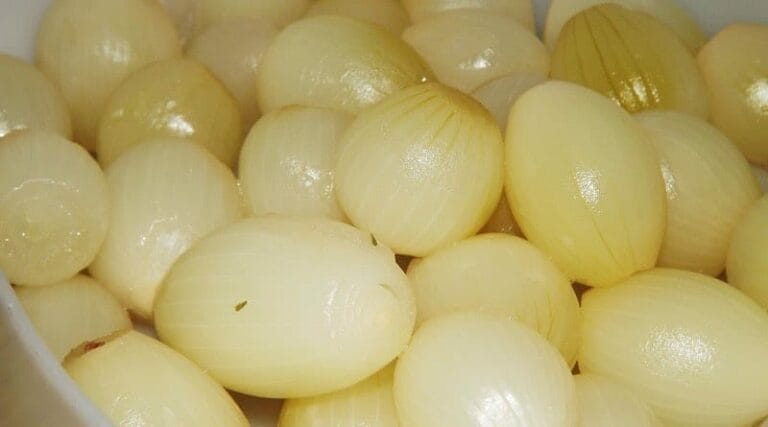 Cebola em conserva