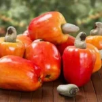 5 Receitas Deliciosas e Fáceis Usando Caju