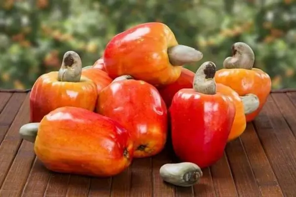 5 Receitas Deliciosas e Fáceis Usando Caju