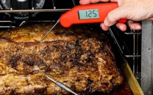 melhores-termometros-culinario