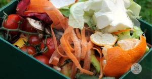 Transforme Cascas de Frutas e Legumes em Delícias Culinárias