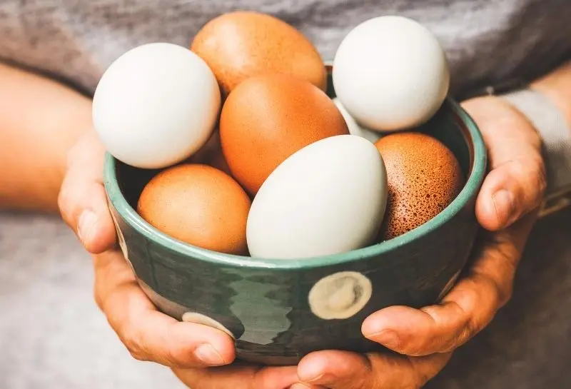 Como Substituir o Ovo em Receitas Veganas
