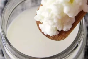 Como Fazer Kefir Em Casa